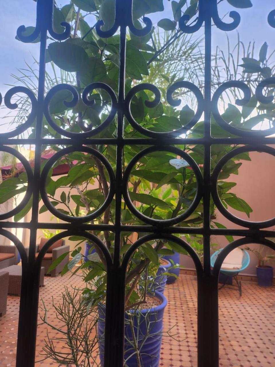 מרקש Appartement Centre Gueliz Hanane מראה חיצוני תמונה